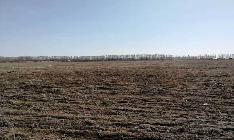 У овощеводов из Рубцовского района хотят забрать землю за нарушения законодательства