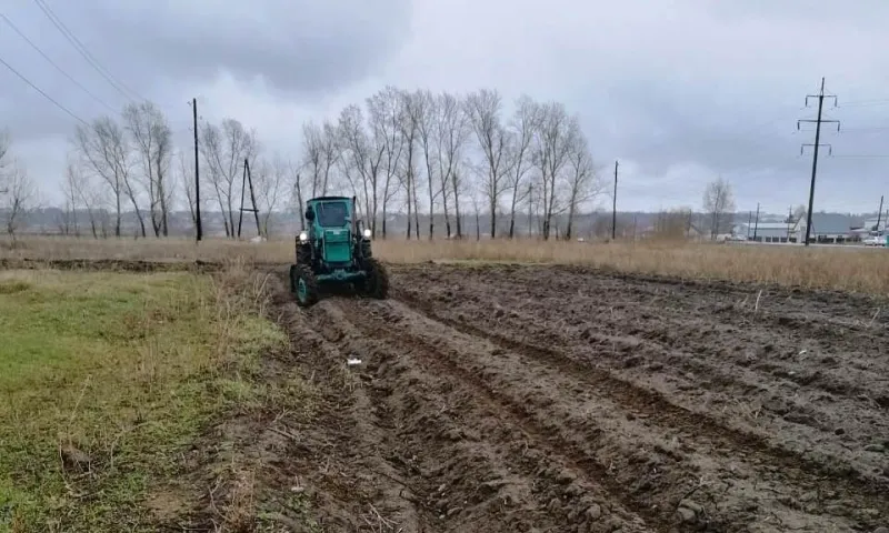 В пригородных поселках Барнаула появятся противопожарные полосы