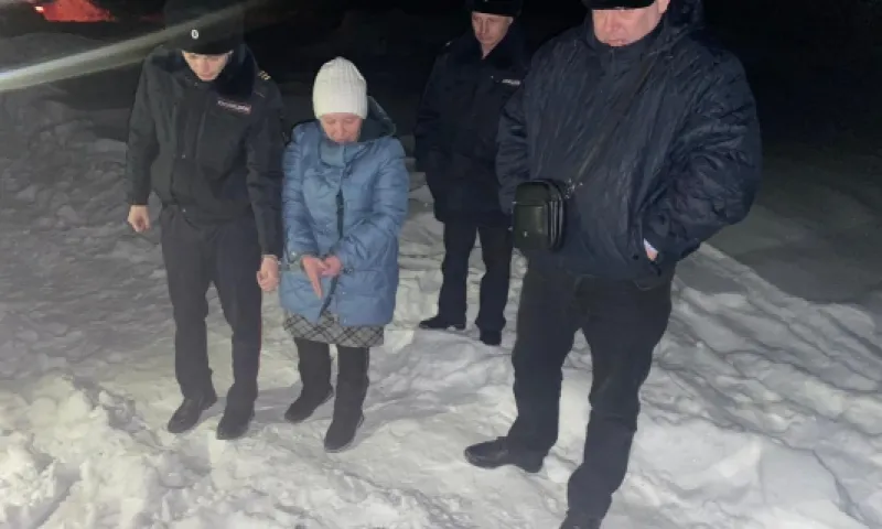 После убийства 1,5-годовалой девочки Следком Алтайского края возбудил дело по факту халатности должностных лиц