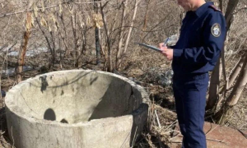 Уголовное дело по факту гибели несовершеннолетнего в Калманском районе возбудили в Алтайском крае