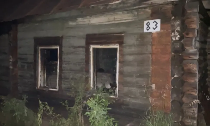 Двое детей погибли из-за пожара в Змеиногорске