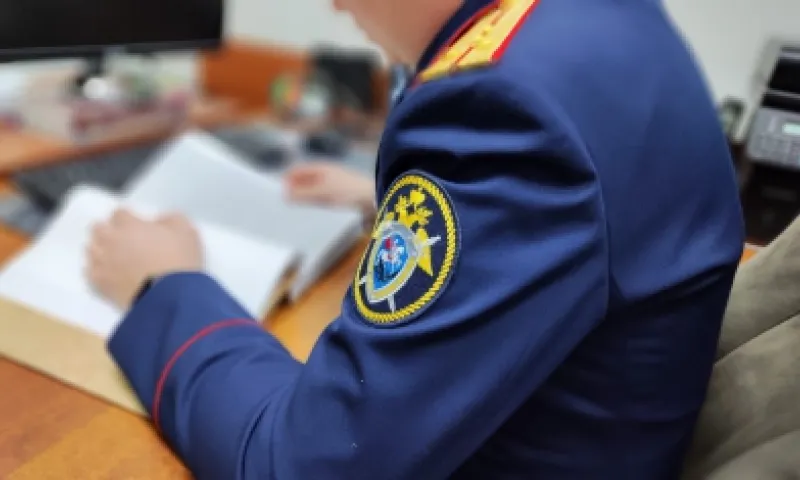 Жительница Ельцовского района предстанет перед судом за убийство супруга
