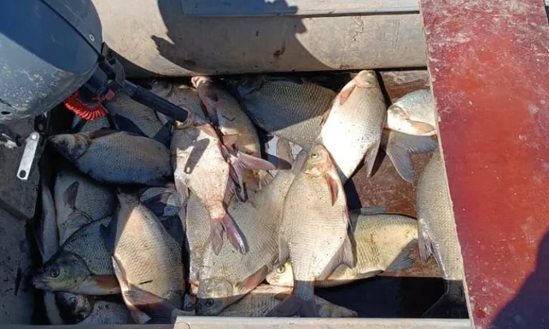 Рыбак незаконно ловил рыбу в Алтайском крае 