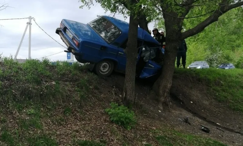 Водитель автомобиля, врезавшись в дерево, погиб в Бийске