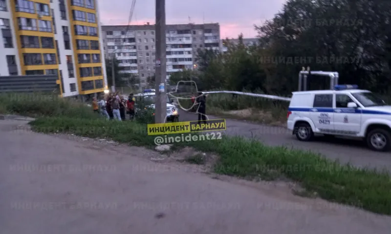 Нетрезвые барнаульцы ранили ножом отца двухлетнего ребёнка