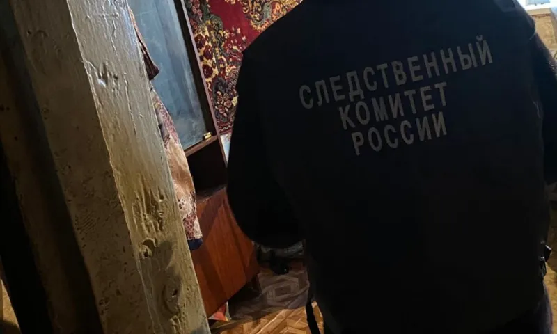Житель Поспелихинского района убил жену на глазах ребенка в новогоднюю ночь