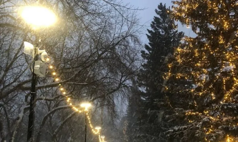 Куда сходить в новогодние каникулы? Парк «Изумрудный» приглашает жителей и гостей Барнаула на праздничные мероприятия 