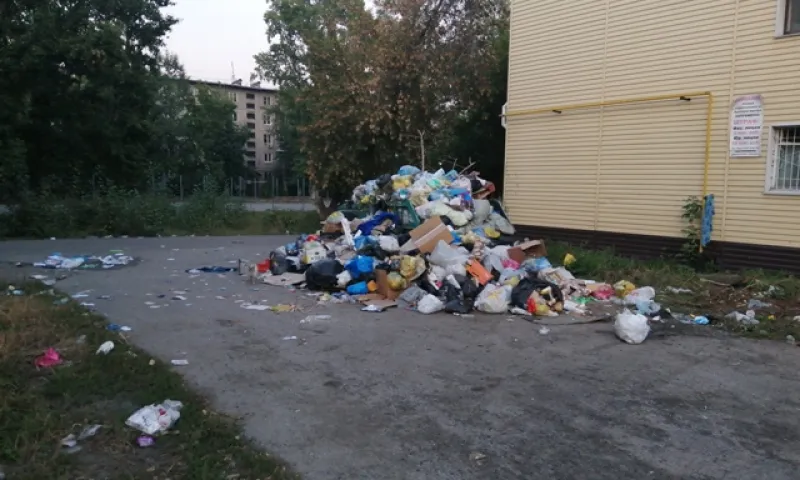 Мусорная куча образовалась в одном из дворов Барнаула