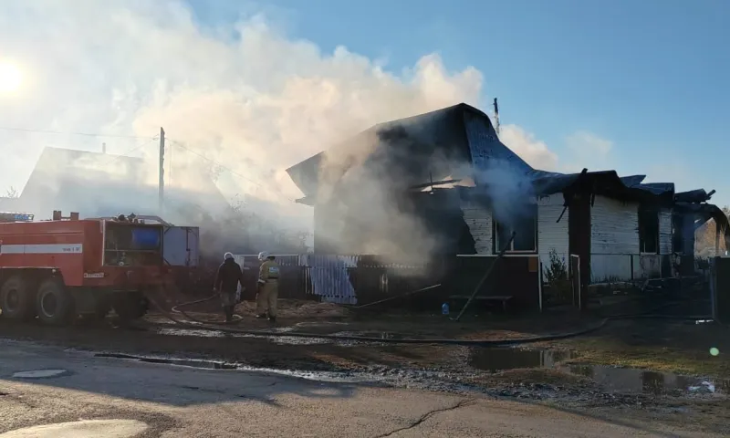 Пожар в доме многодетной семьи в Панкрушихинском районе унёс жизнь мужчины