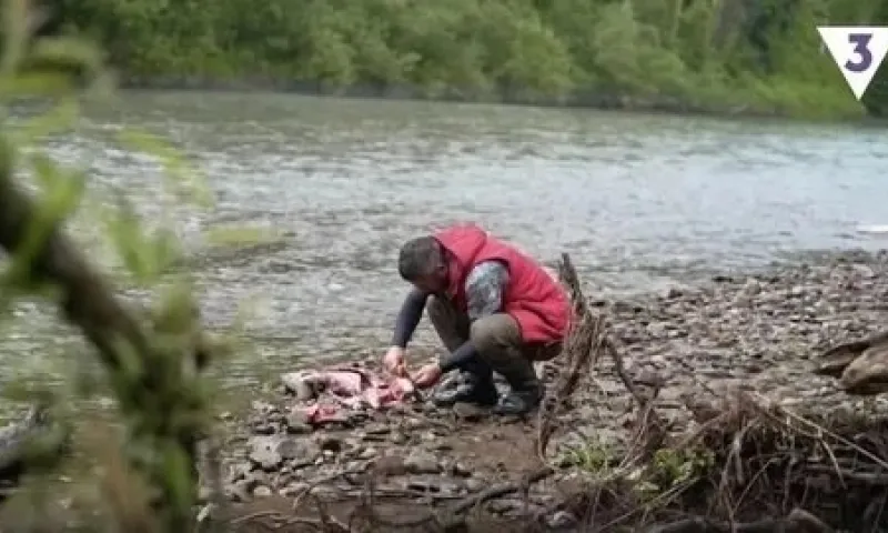 В Республике Алтай возбуждено уголовное дело после убийства выдры на реалити-шоу  