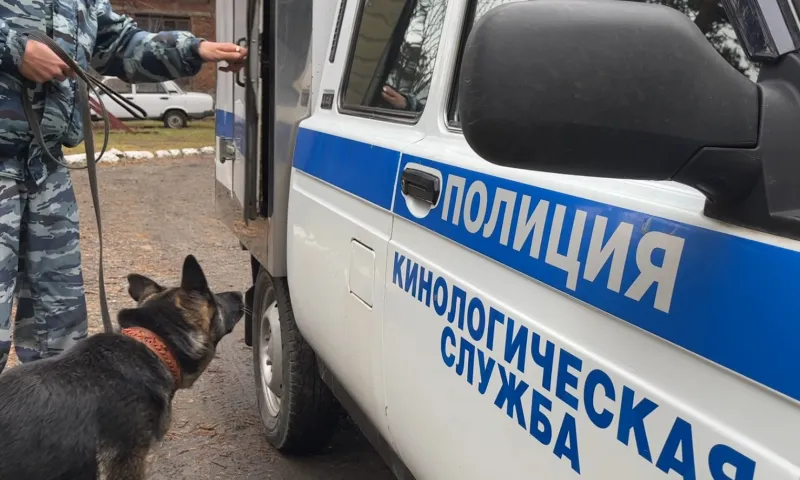 Овчарка нашла пропавшую 83-летнюю туристку в Бийске