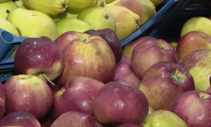 Барнаульцев приглашают на продуктовые ярмарки