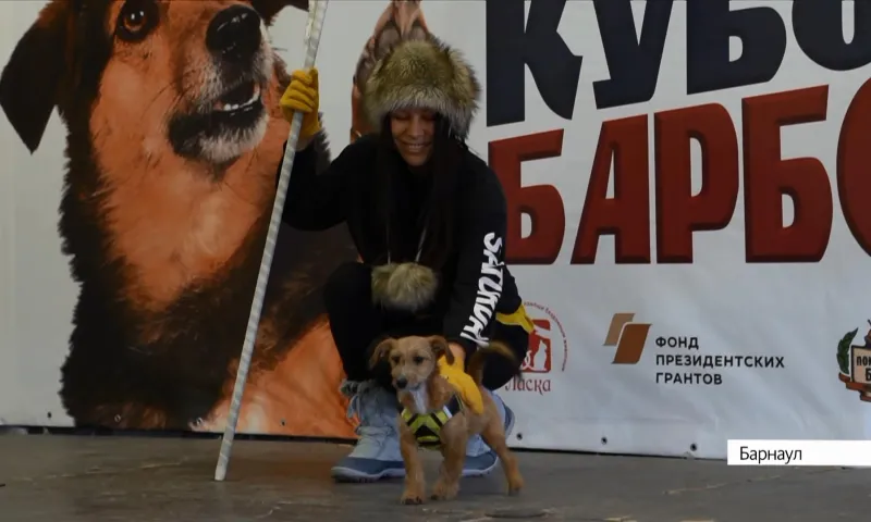 В Барнауле прошёл «Кубок Барбоса»