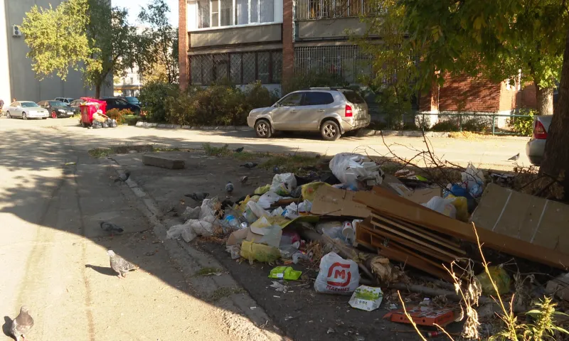 Несанкционированная свалка образовалась в центре Барнаула