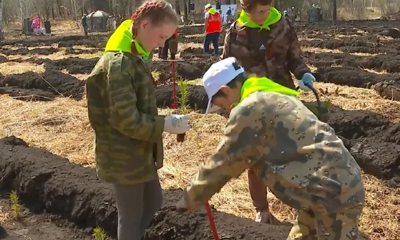 «Сад памяти» в честь подвига солдат в Великой Отечественной войне высадили в Заринском районе